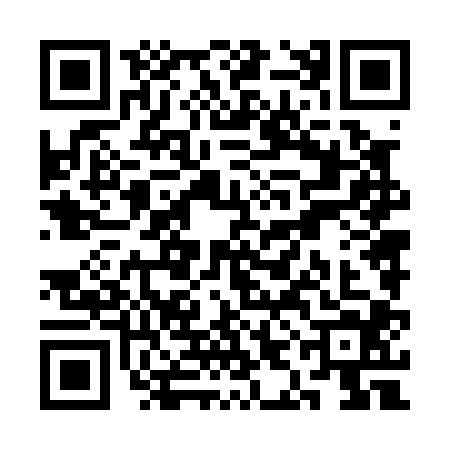 QR code for SIN0049