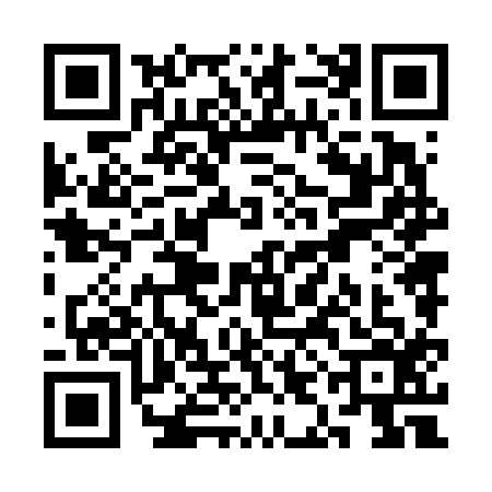 QR code for SIN6167