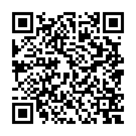 QR code for SJX0633
