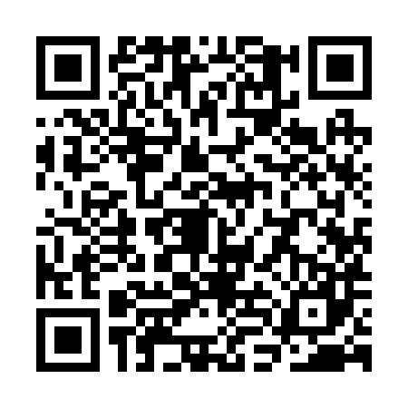QR code for SLI2878