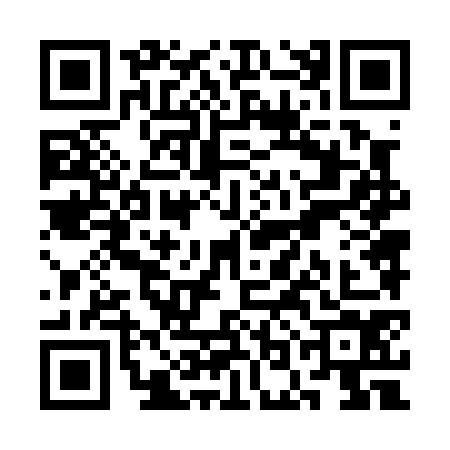 QR code for SON0741