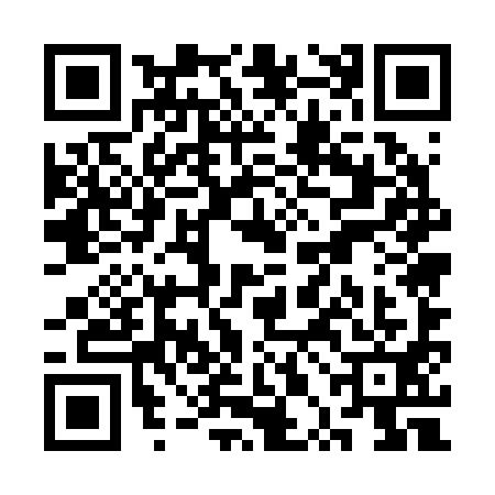QR code for SPE2919