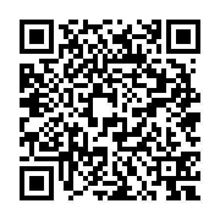 QR code for SPE6318
