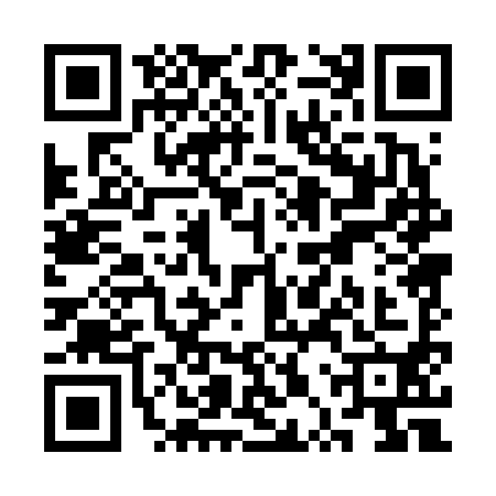 QR code for SPP6905