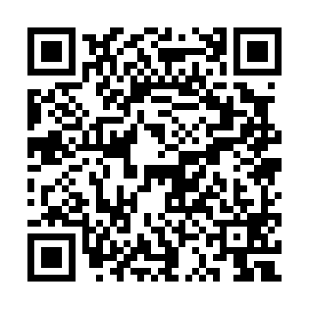 QR code for SSA0993