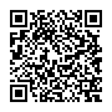 QR code for SST0203