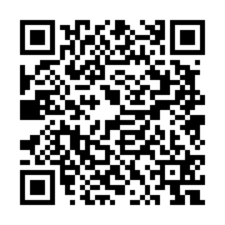 QR code for STP4219