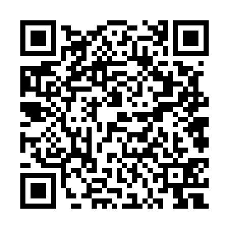 QR code for SVF5313