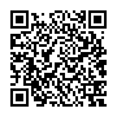 QR code for SVV3397