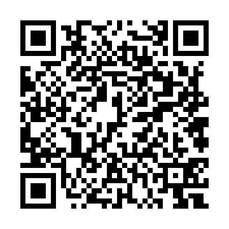 QR code for SWF9313