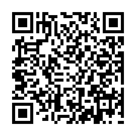 QR code for SYZ3985