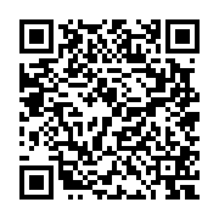 QR code for TDE0017