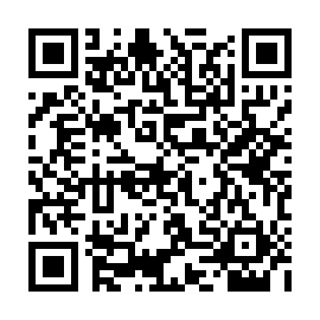 QR code for TDI0113
