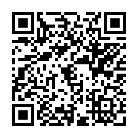 QR code for TDK6307