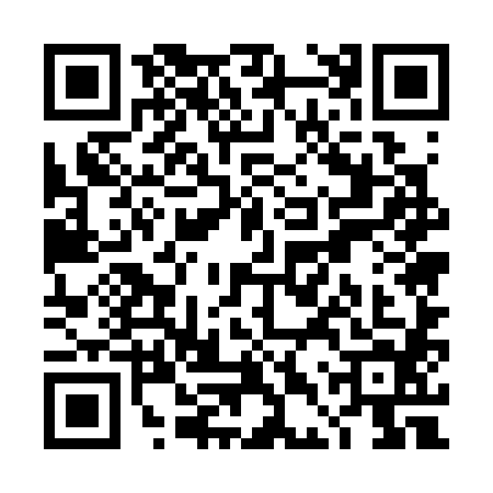 QR code for TDU3849