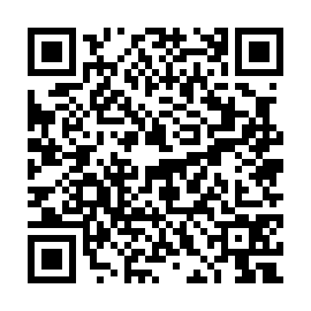 QR code for THE0740