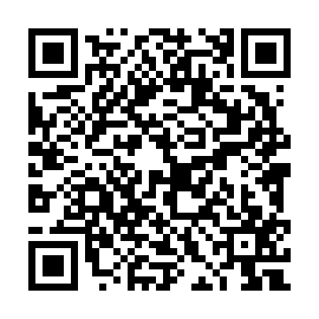 QR code for THL6176