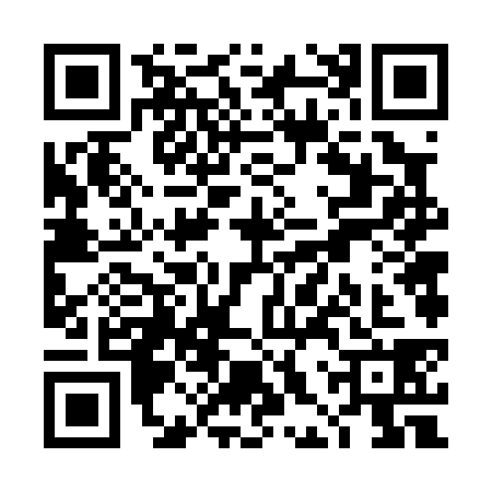 QR code for THV0383