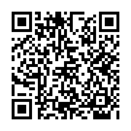 QR code for TIE7339