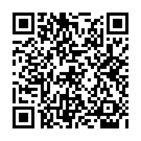 QR code for TII4995