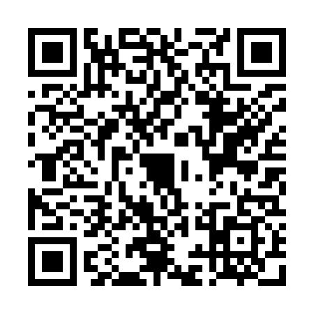 QR code for TIL9396