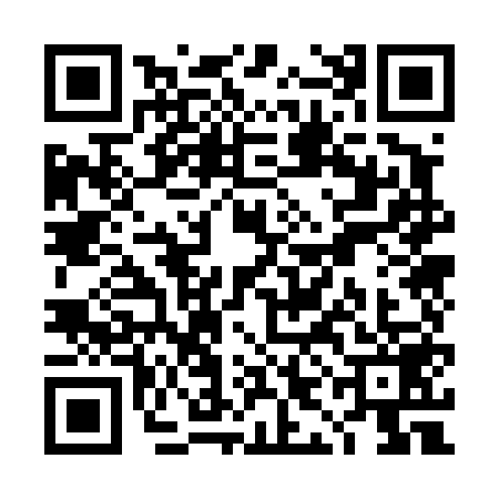 QR code for TIO4594