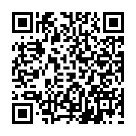 QR code for TNI9339