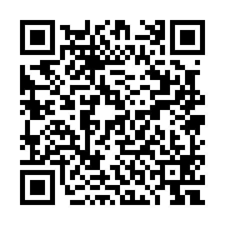 QR code for TOA0994