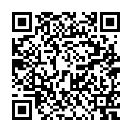 QR code for TPA3911