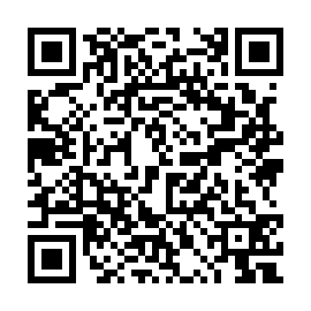 QR code for TPI1323