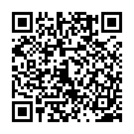 QR code for TQI9533