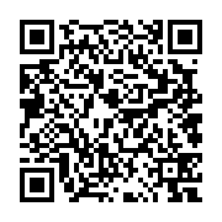 QR code for TRV0393