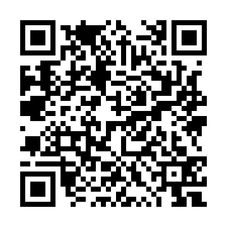 QR code for TXI1335