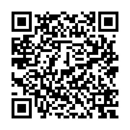 QR code for UDI1297