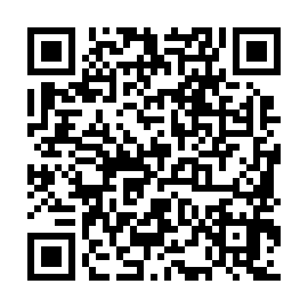 QR code for UDM2958