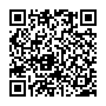 QR code for UDO2911