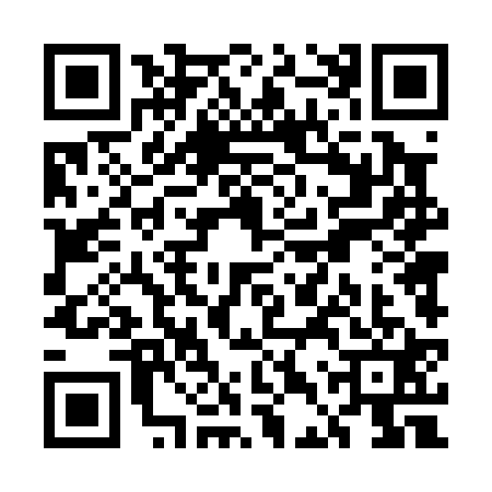 QR code for UDT0217