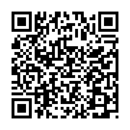 QR code for UIZ0411