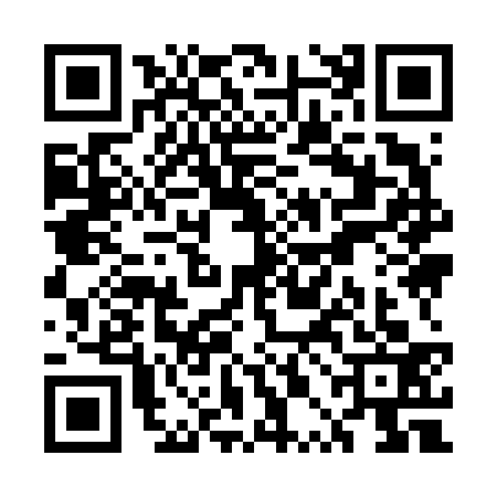 QR code for UPI6333
