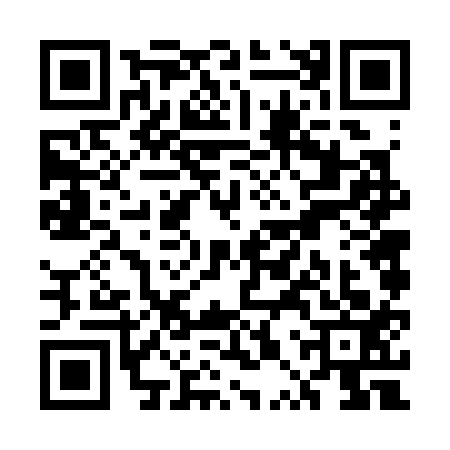 QR code for UPV3138