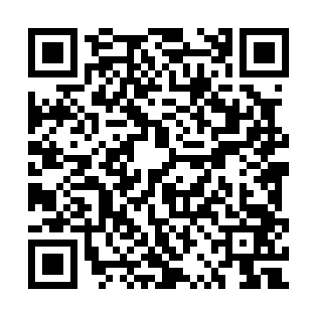 QR code for URL0436