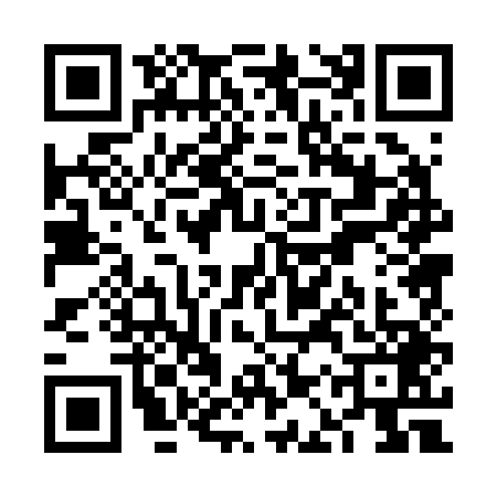QR code for VAP2498