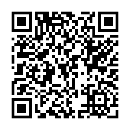 QR code for VEI2966