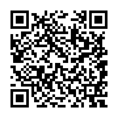 QR code for VEV8919