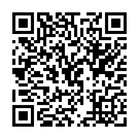 QR code for VEX2685