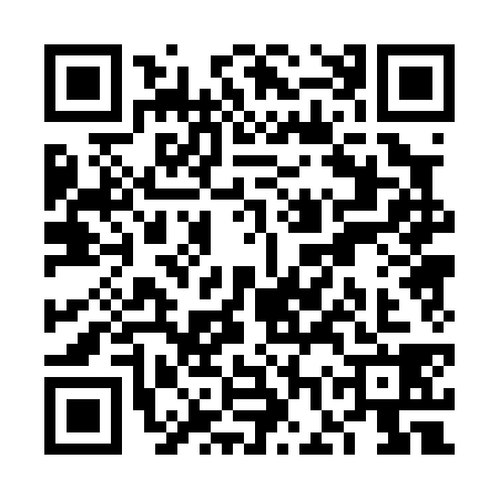 QR code for VGP0383