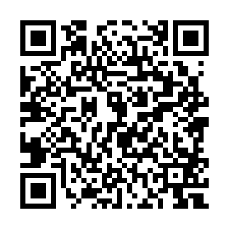 QR code for VGX3833