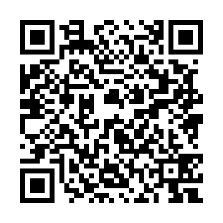 QR code for VGX5393