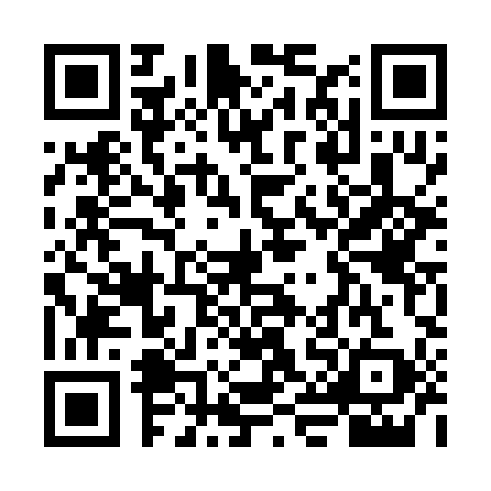 QR code for VID2995