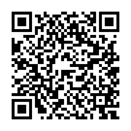 QR code for VIG1411